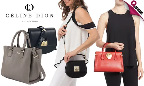 Celine Dion Ladies Bag!